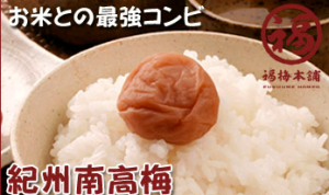 お試しセット有】福梅本舗の紀州梅干しを正直レビュー